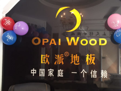 揚(yáng)中歐派地板專賣店11.18特惠活動