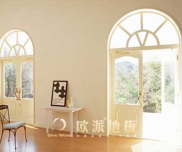 實(shí)木地板品牌