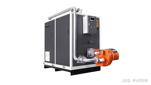 圖150公斤燃氣蒸汽發(fā)生器構(gòu)成