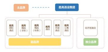 勝高Sego品牌營銷案例總結(jié)